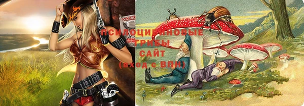 амф Абинск