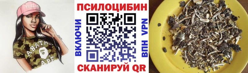 купить наркотики сайты  Дрезна  Галлюциногенные грибы MAGIC MUSHROOMS 